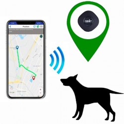 GPS locator Pet